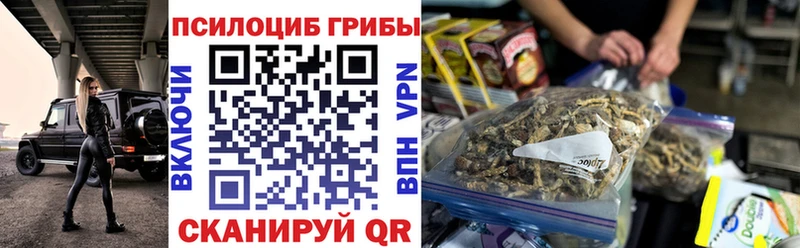 как найти закладки  Знаменск  Галлюциногенные грибы MAGIC MUSHROOMS 